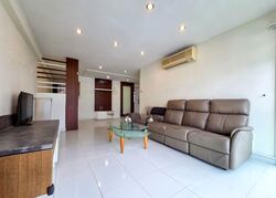 Blk 315C Anchorvale Gardens (Sengkang), HDB Executive #556417971